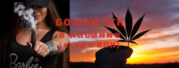 Альфа ПВП Корсаков