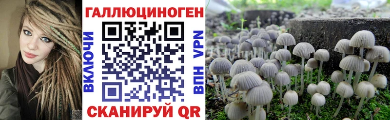 Псилоцибиновые грибы прущие грибы  Купить закладки  Заозёрск 